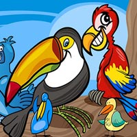 Exotic Birds Coloring