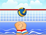 Volley Ball